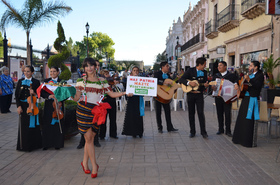 "Haz patria, hazte vegetariano", pidió AnimaNaturalis en eventos simultáneos en México