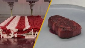 ¿Un mundo sin carne de origen animal está cada vez más cerca? Las opciones de sustitutos de carne avanzan rápidamente.