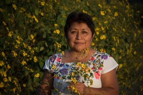 Leydy Araceli Pech, la defensora de las abejas.